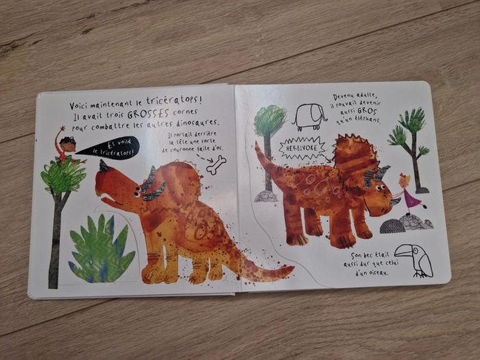 Livre 📖 Et voilà les dinosaures ! - photo numéro 5