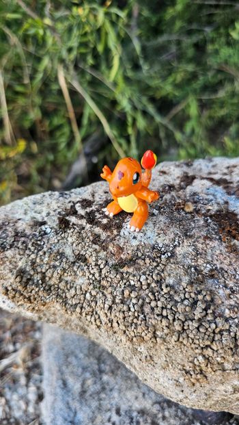 Super figurine Pokemon Nintendo Salameche