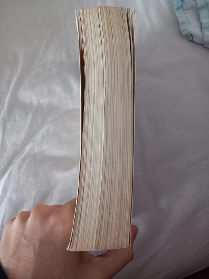 La route enchantée - photo numéro 5