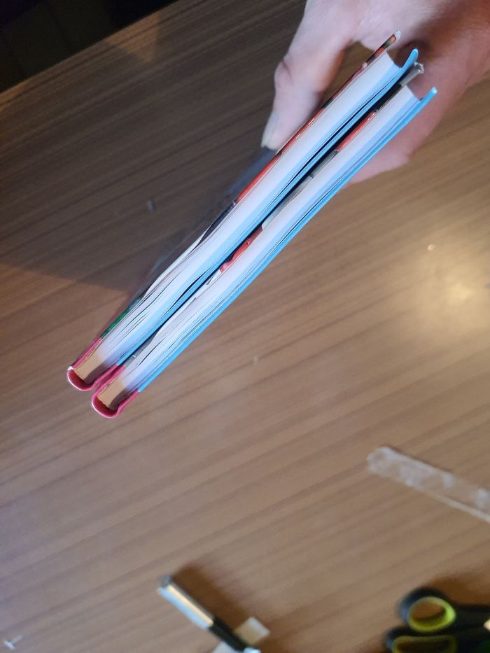 Lot de 2 livre miraculous - photo numéro 3