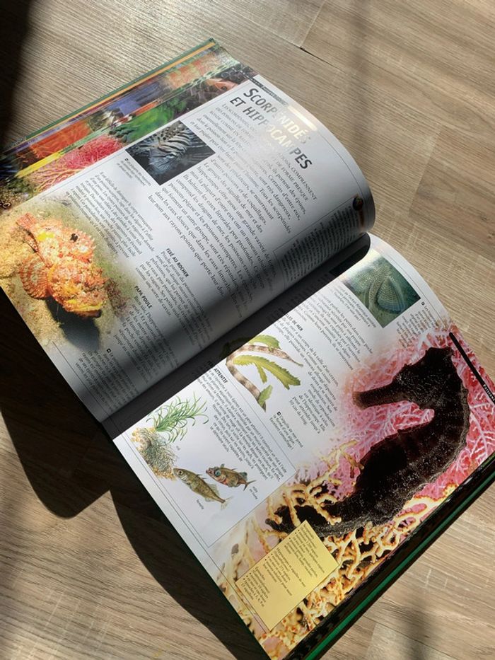Je découvre - photo numéro 3