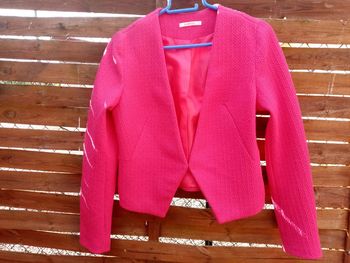 Blazer rose