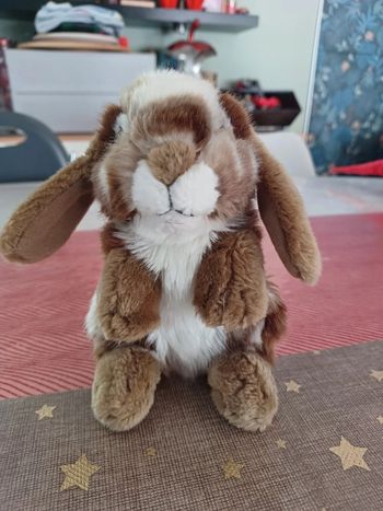 Peluche lapin gispsy
