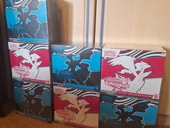 ETB Fourdre Noire et Flamme Blanche