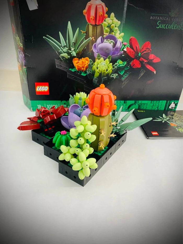 LEGO Icons 10309 - Les Succulents - Complet avec Boîte - photo numéro 7