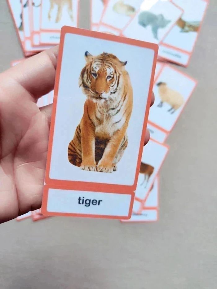Lot de 56 cartes de nomenclature sur les animaux en Anglais Montessori - photo numéro 6