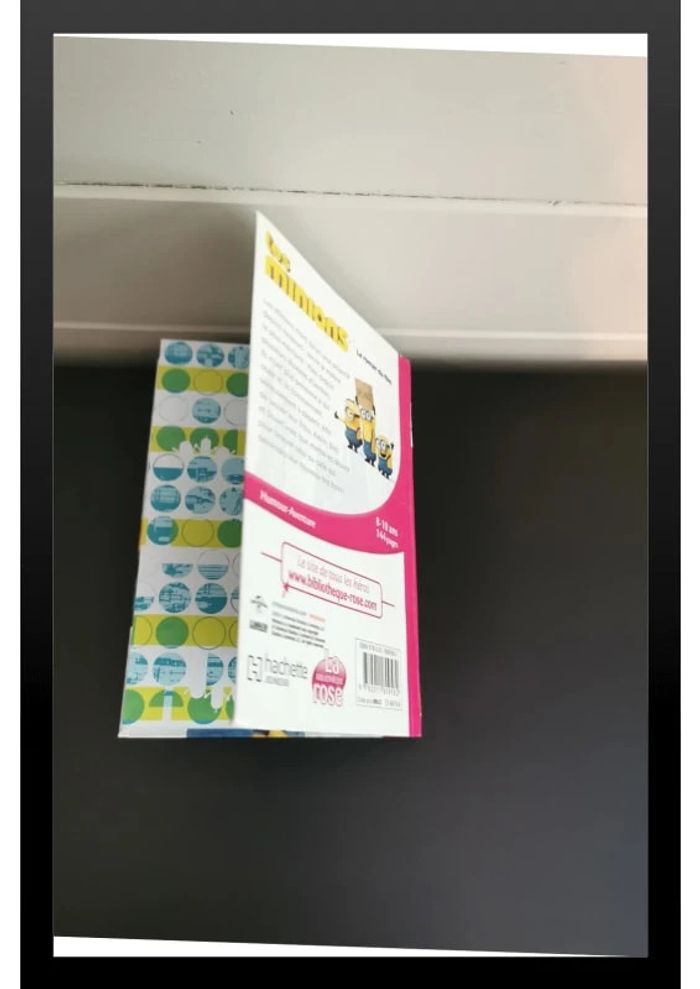 Livre "Les minions" - photo numéro 3
