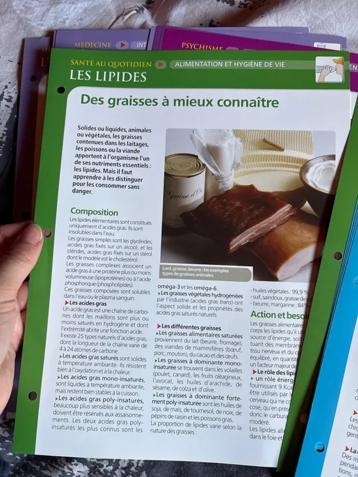 Lots de fiches anatomie physiologie santé - photo numéro 6