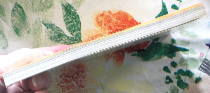 LA VIE AU GRAND AIR par REISER Ed. Folio - photo numéro 4