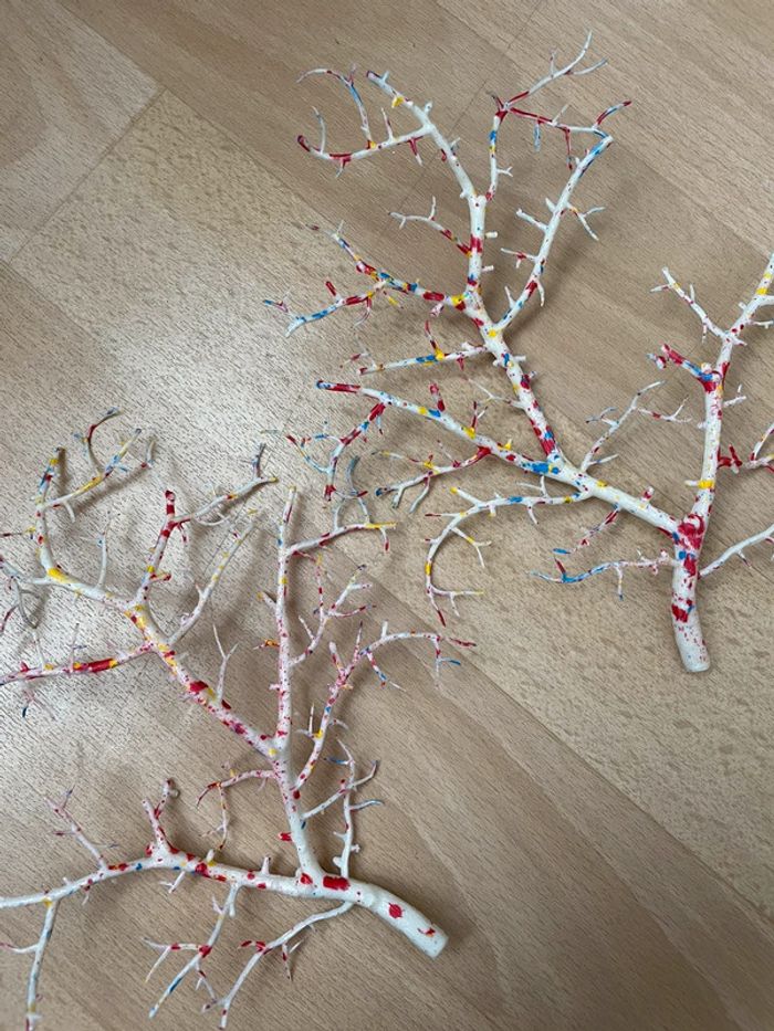 Branches colorées - photo numéro 4