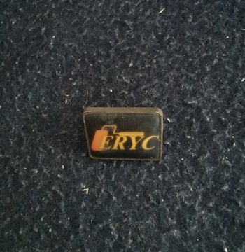 Pins Eryc vintage