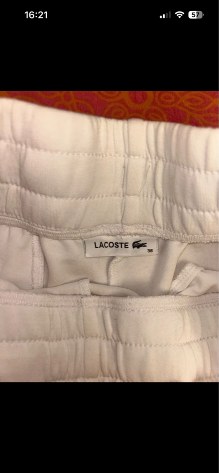 short lacoste - photo numéro 3