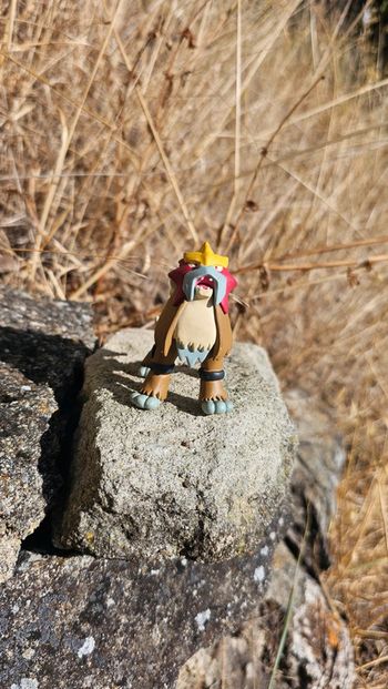 Super figurine Pokemon Nintendo Entei
