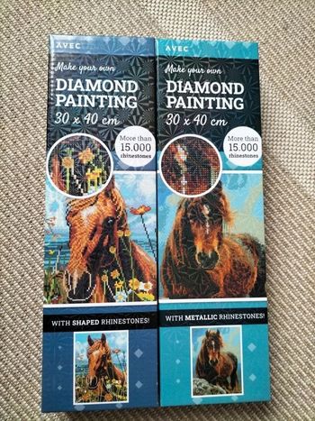 🎨Diamond Painting - Chevaux 🐎