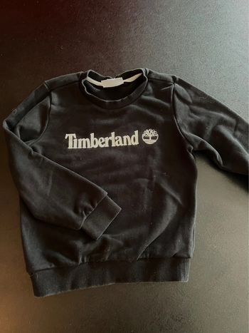 Pull Timberland