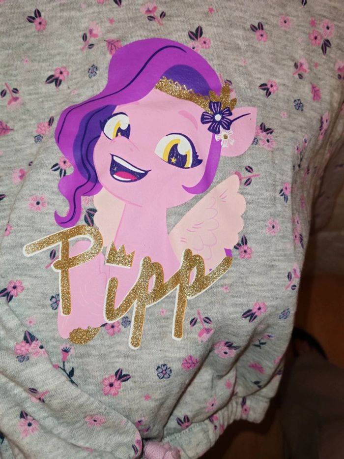 Sweat My Little Pony - photo numéro 5