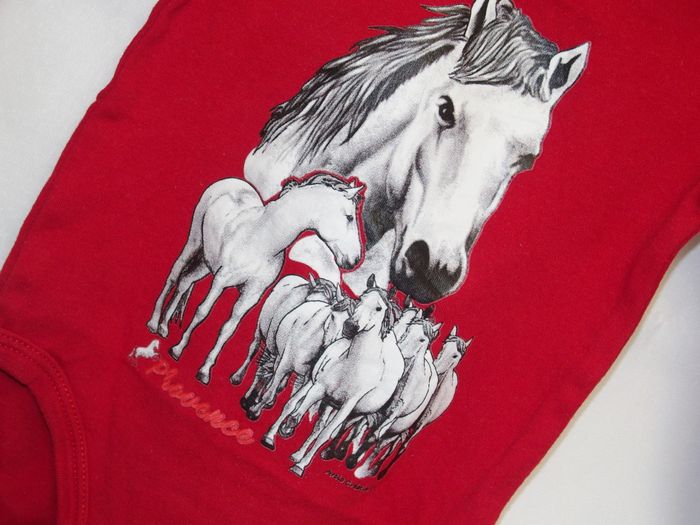 Body cheval Camargue - photo numéro 2