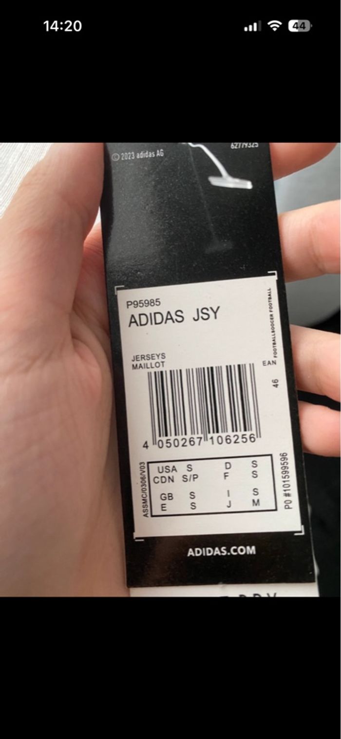 Maillot Concept Algérie - El Mechouar 2024 - photo numéro 7