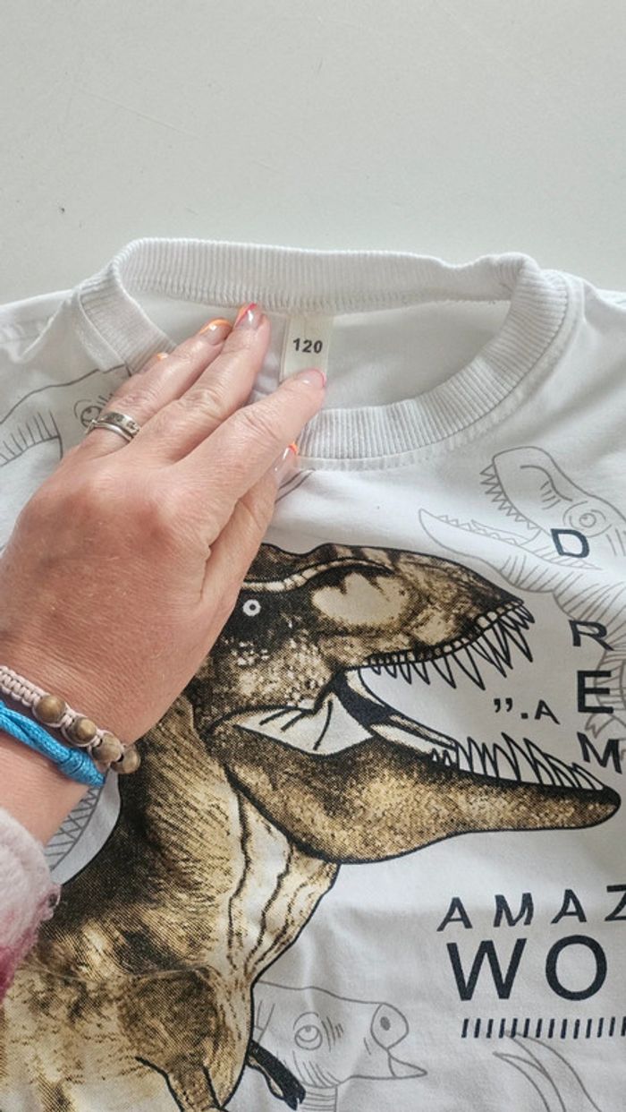 Pull dinosaures garçon - photo numéro 2