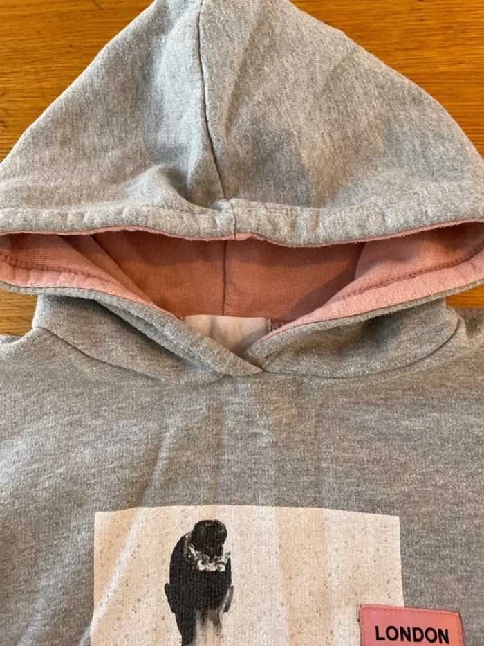Sweat capuche fille 8 ans - photo numéro 3