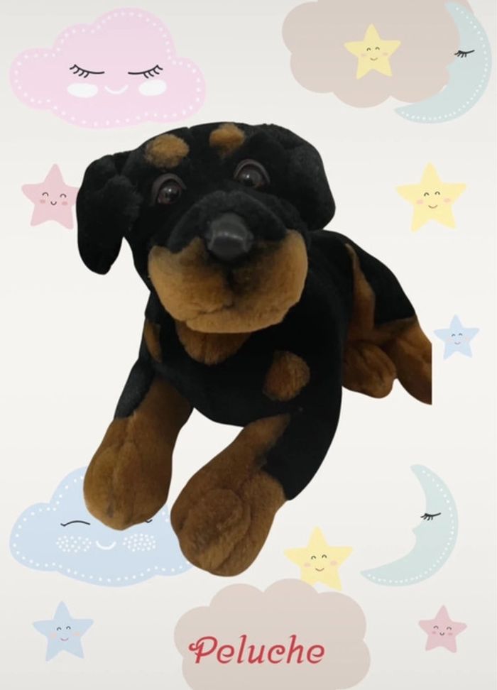 Peluche chien - photo numéro 2