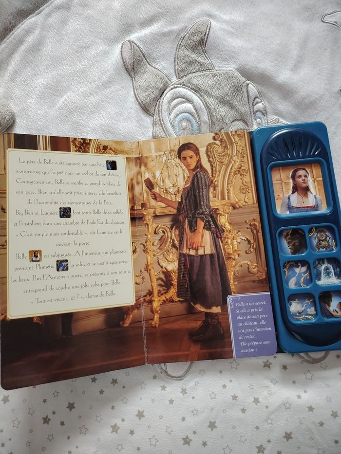 Livre la belle et la bête - photo numéro 3