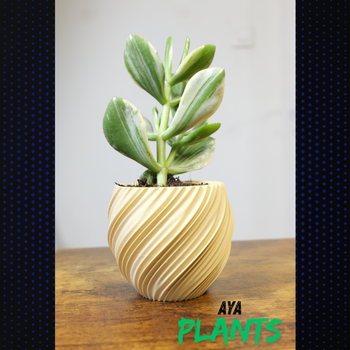 Jardinière Pot de Fleurs Modernes