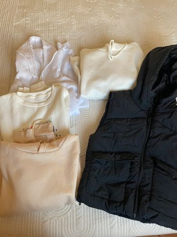 Lot plusieurs sweats pour femme/fille