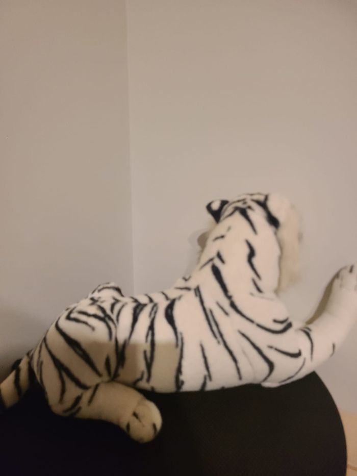 tigre blanc - photo numéro 7