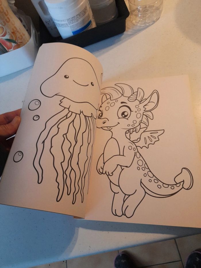 Gros livre de coloriage - photo numéro 6