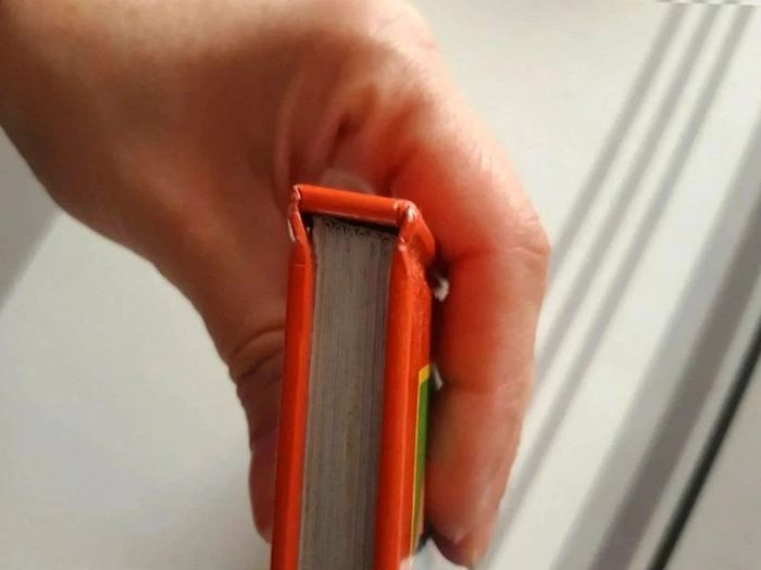 Livre : Bienvenue  chez les  Robinsons - photo numéro 6