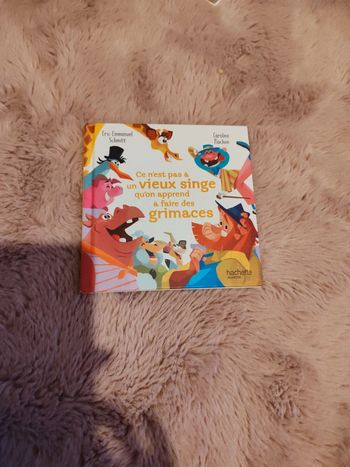 Livre enfant il était un dicton