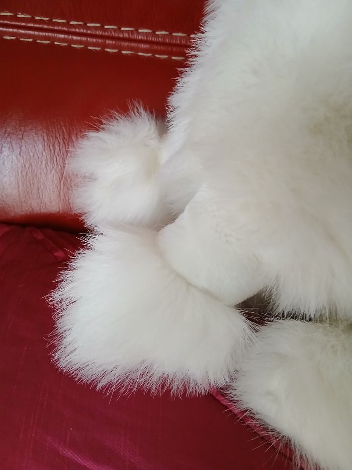 Peluche Caniche Royal  *29 cm - photo numéro 5