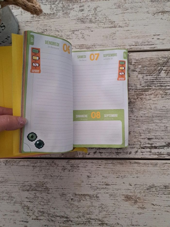 Agenda jamais utilisé Swan et neo - photo numéro 3
