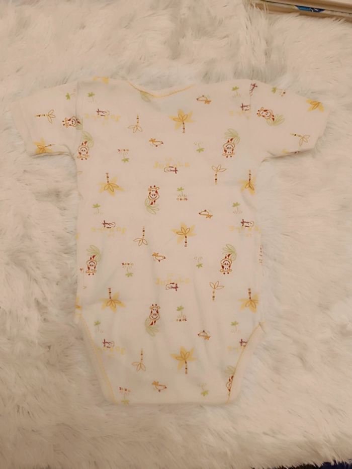 Lot 4 bodies manches courtes T. 12 mois Absorba - photo numéro 5