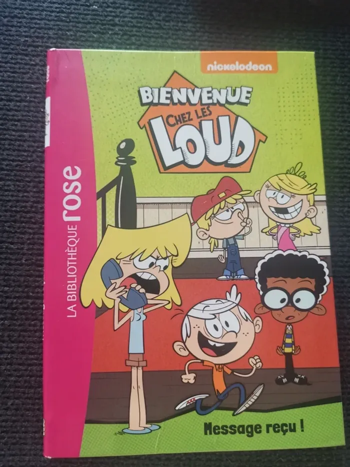 Lot 4 livres bienvenu chez les loud bibliothèque rose - photo numéro 5