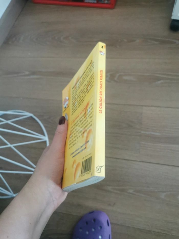 Livre geronimo stilton - photo numéro 4