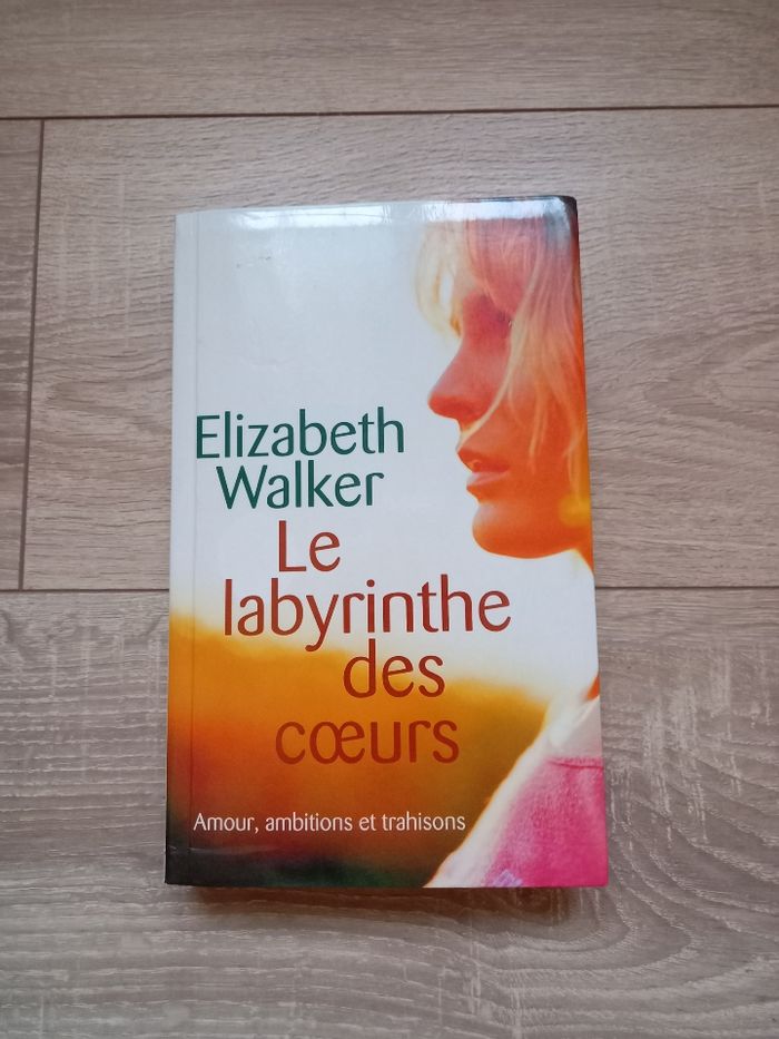 Livre "le labyrinthe des coeurs"