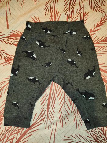 Pantalon baleine 🐋