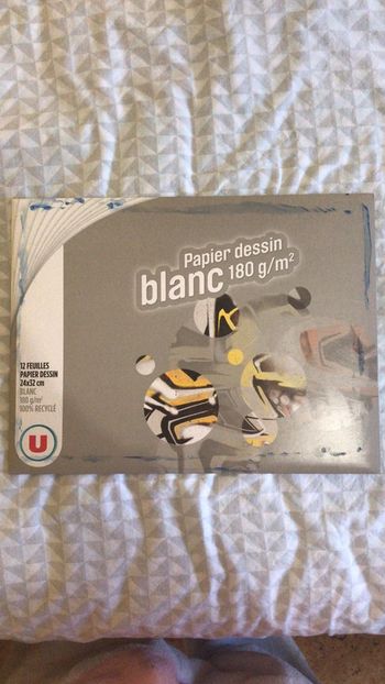 Lots de 12 feuille canson papier dessin blanc