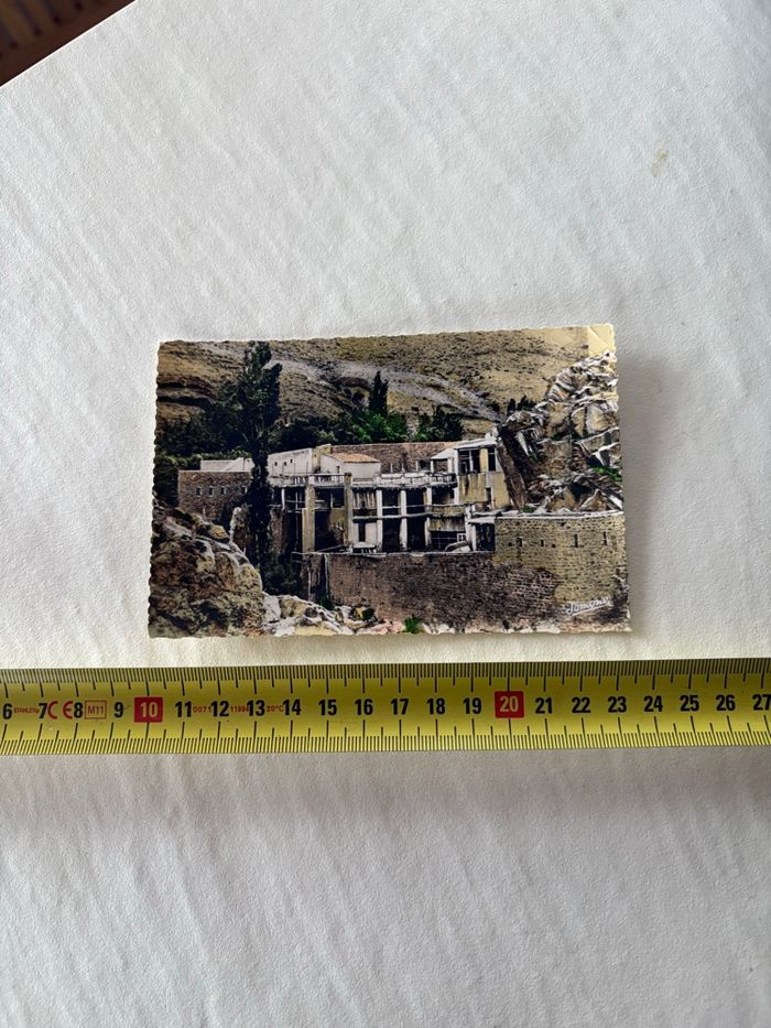 Carte postale vintage Alger - photo numéro 2