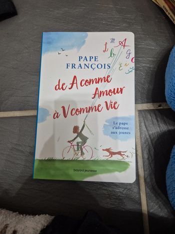 Livre pape francois de A comme Amour à V comme Vie