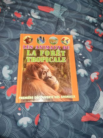 Les animaux de la foret tropical
