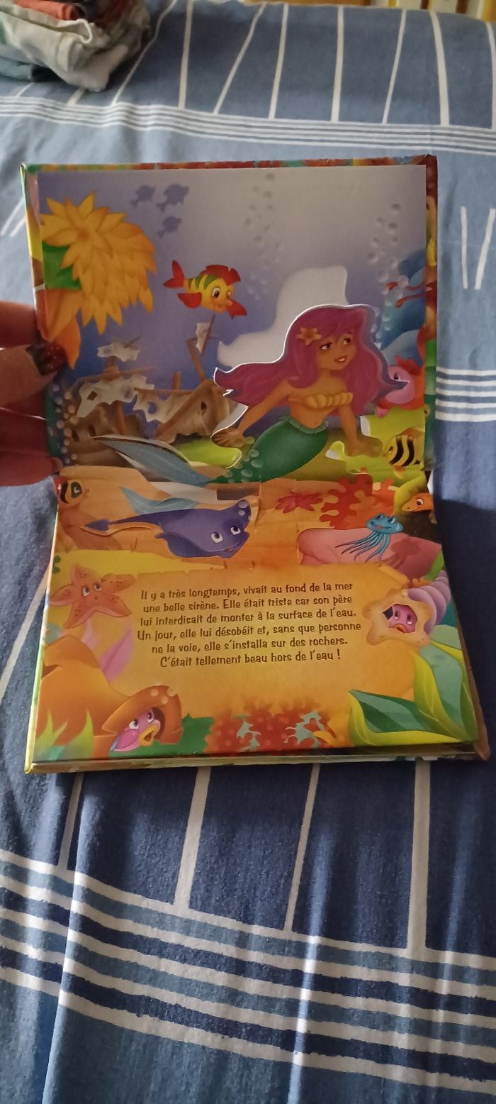 Très beau petit livre - photo numéro 2