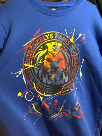 Pull/ sweat sans capuche bleu avec lion coloré