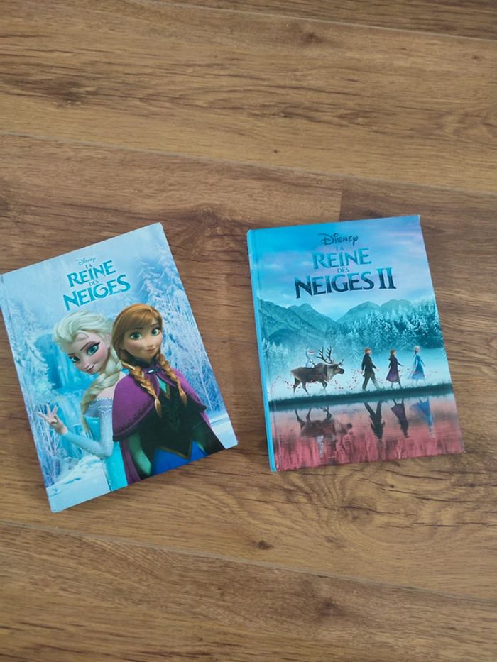 Livre Reine des Neiges