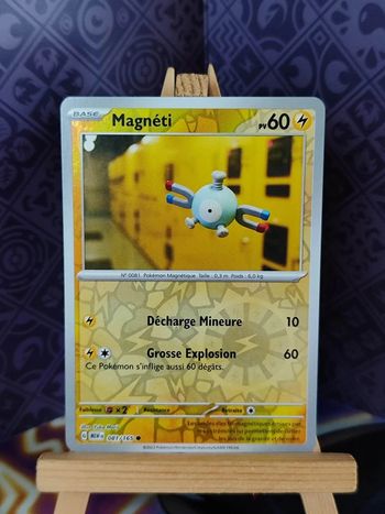 Magnéti reverse 81/165 151