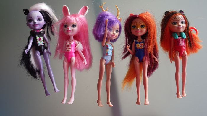 Lot de 5 poupées Enchantimals + 6 animaux Mattel