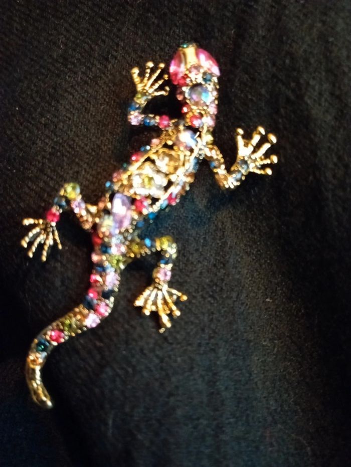 Idée cadeau 🎁: Broche en forme d'iguane - photo numéro 4