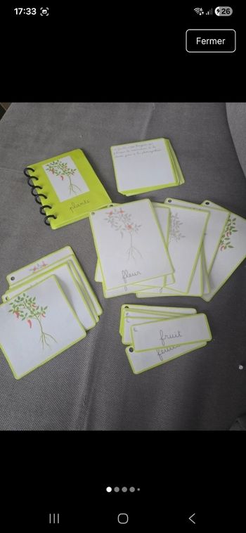 Nomenclature classifié de la plante 